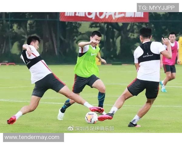 深圳足球队在世界杯中的耐力表现分析与启示