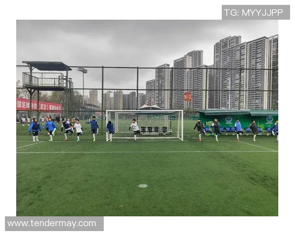 武汉足球队防守分析：优劣势与未来改进方向探讨