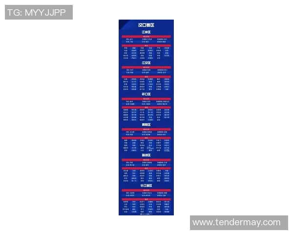 武汉足球队实力强劲荣登最新足球实力TOP10榜首