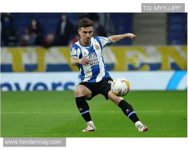 武汉网球队防守革新之路探索与实践的深度剖析