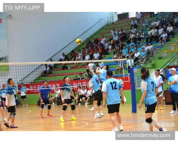 南京排球队在排球比赛中取得新突破经验排名创新高引发关注