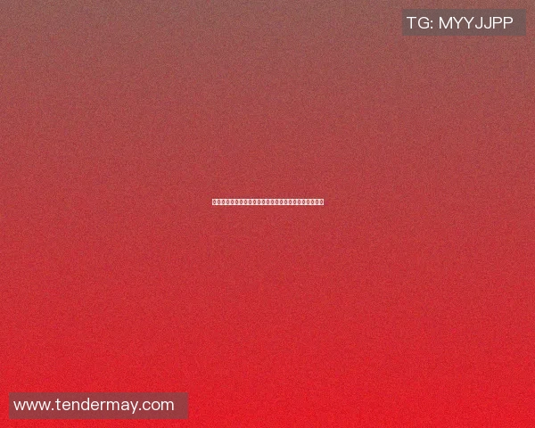 深入探讨上海排球队力量表现的数据分析与训练策略优化