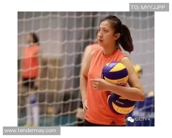 武汉排球队状态分析与表现评估：数据背后的故事与趋势探讨