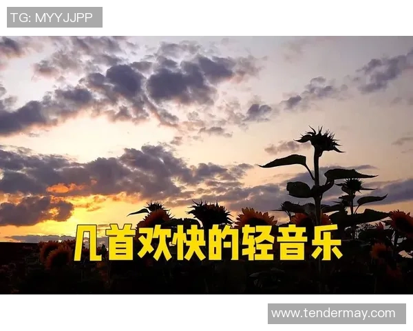 每个足球明星背后的音乐故事与他们的辉煌瞬间交织的旋律 每个足球明星背后的音乐故事与他们的辉煌瞬间交织的旋律