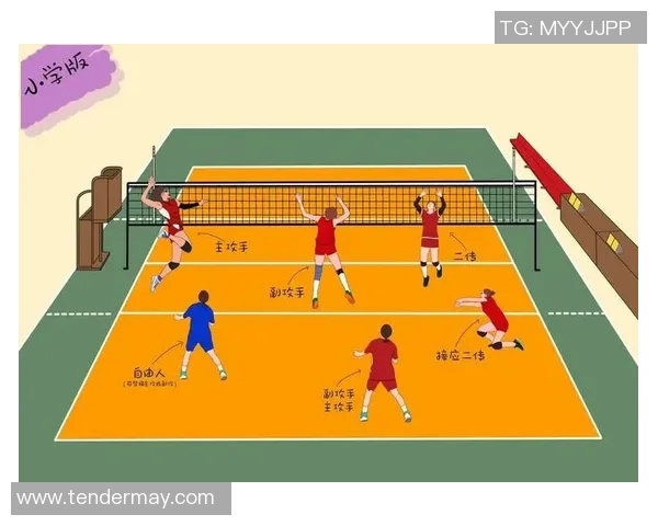 深圳排球队与成都排球队赛后复盘分析团队配合与战术执行的关键因素 深圳排球队与成都排球队赛后复盘分析团队配合与战术执行的关键因素