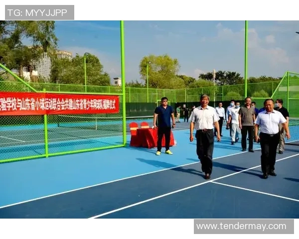 深圳网球队的整体压制革新探索与发展路径研究 深圳网球队的整体压制革新探索与发展路径研究