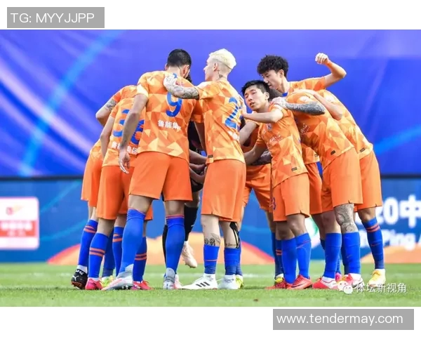 南京乒乓球队在杯赛中的团队协作表现分析与点评