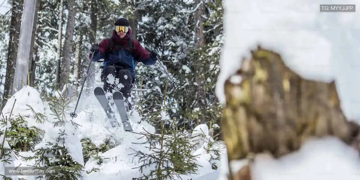 ⚾️从本土联赛到国际巅峰，我们承包你的所有热爱！🌍