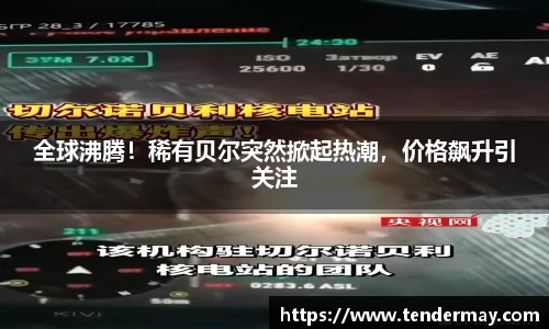 全球沸腾！稀有贝尔突然掀起热潮，价格飙升引关注